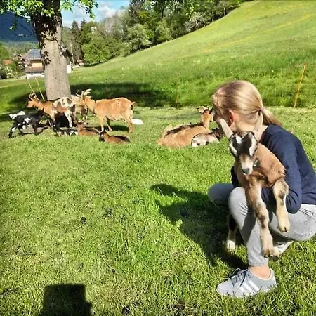 Farm stay Braun Hof Fischbachau
